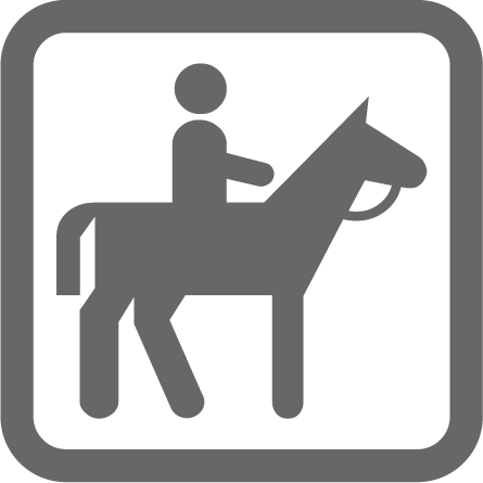 Horse Safari